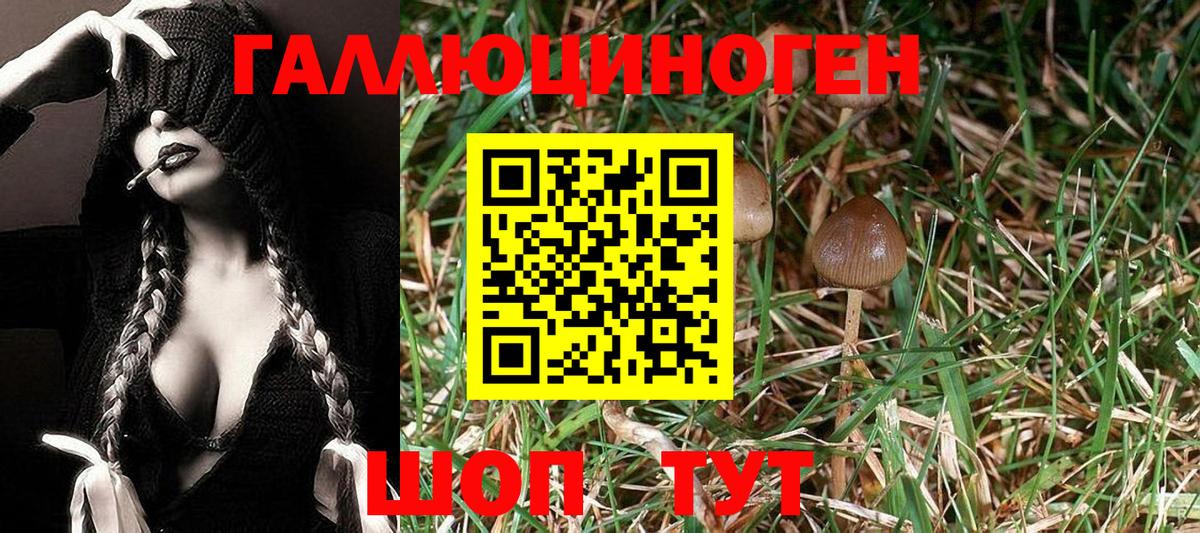 Галлюциногенные грибы Magic Shrooms  Вход с VPN  Новочебоксарск 